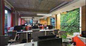 最新办公室室内吊顶设计图片案例