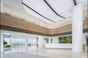 大办公室室内设计效果图2018图片