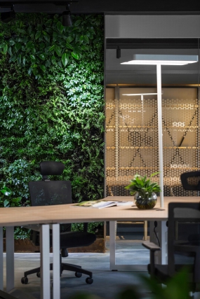 办公楼窗户创意设计