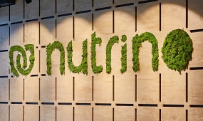 全球最创意办公室设计公司