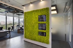 1000平不规则空间办公室布局设计