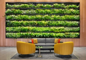 时尚董事长办公室设计图片