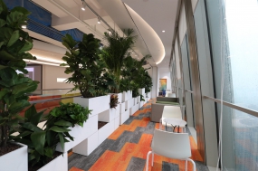 国外创意办公室设计案例图