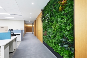 新媒体小型办公室装修图