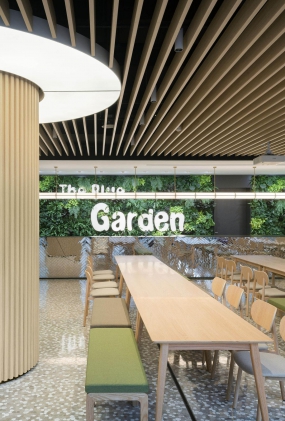 硅藻泥装修办公室图