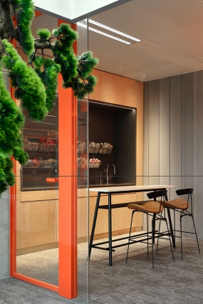 宠物科研公司办公室设计装修图