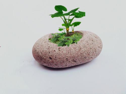 办公室风水石头图片